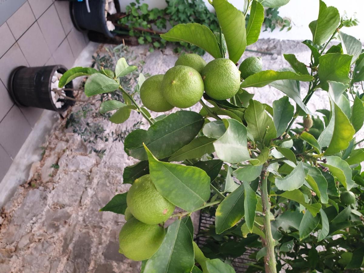 Hotel Lemon Tree Donji Seget Exterior foto