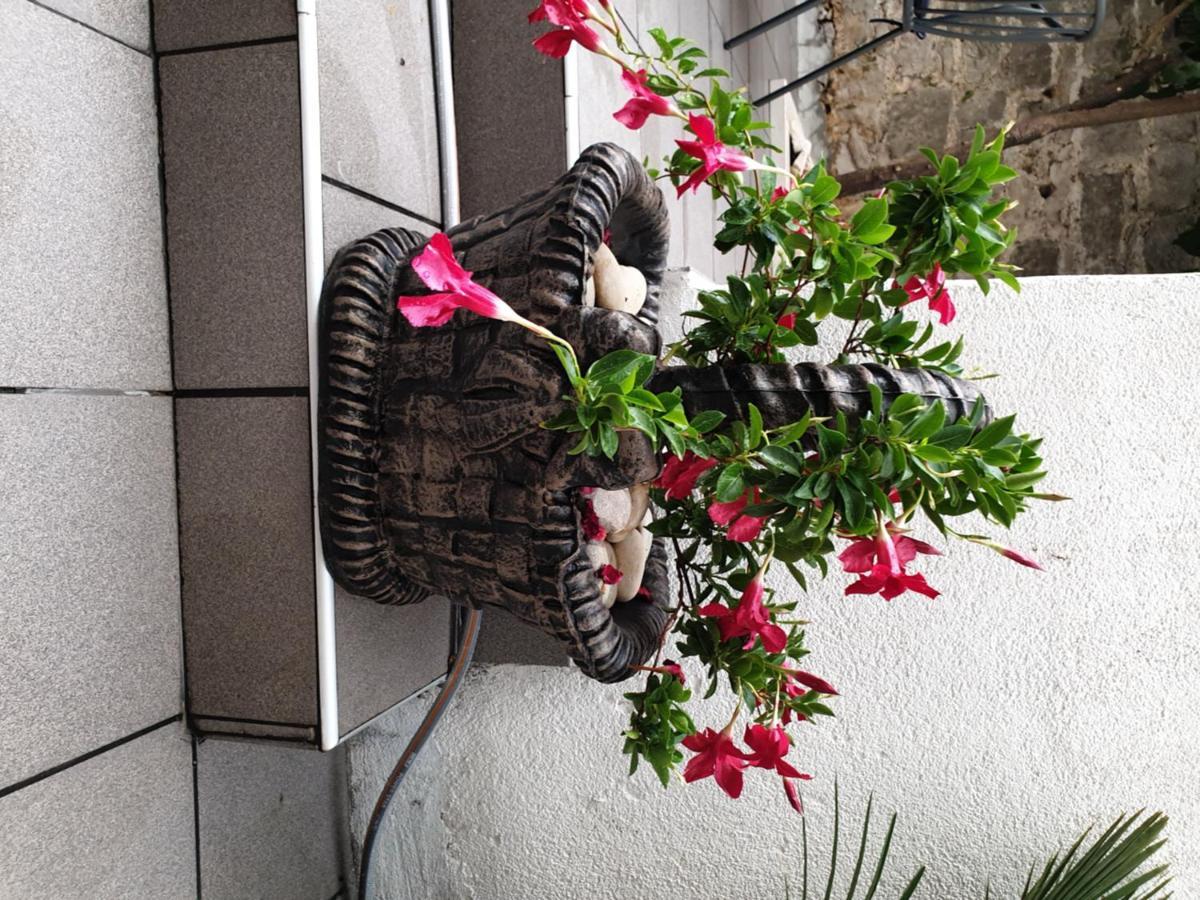 Hotel Lemon Tree Donji Seget Exterior foto